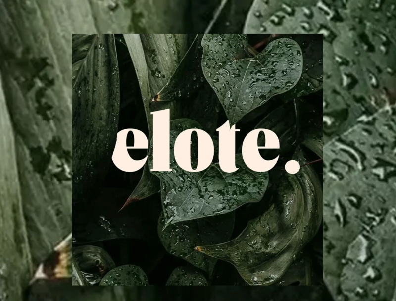 listing header image - 2026-03-24T212453.723.png