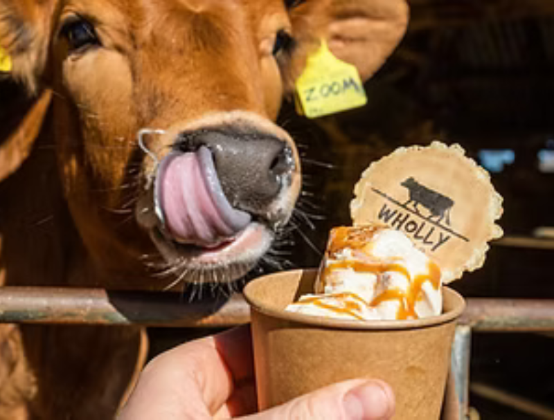 Wholly Gelato Farm (Elmore) - Image 2