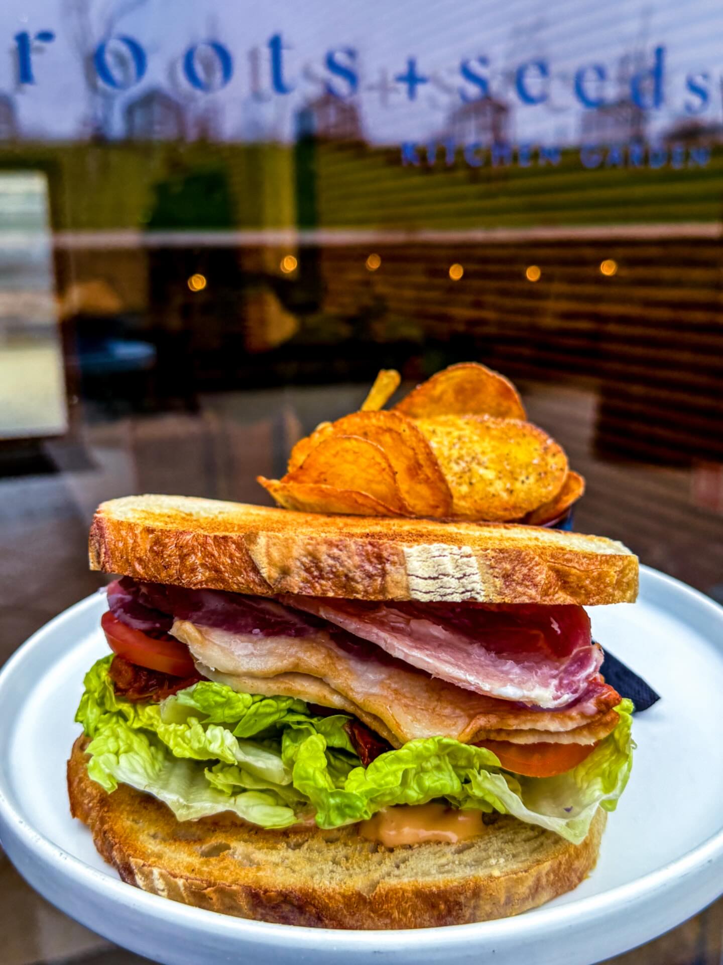 Roots and Seeds Far Peak - Image 3