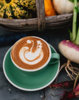 Roots and Seeds Far Peak - Image 2