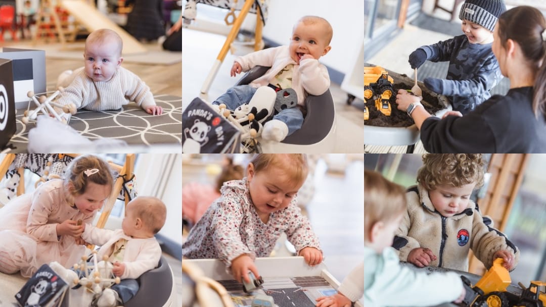 Little Hatchlings - Image 3