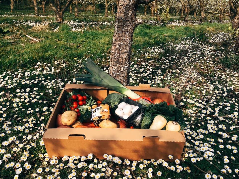 Cotswold Veg Box Company - Image 3