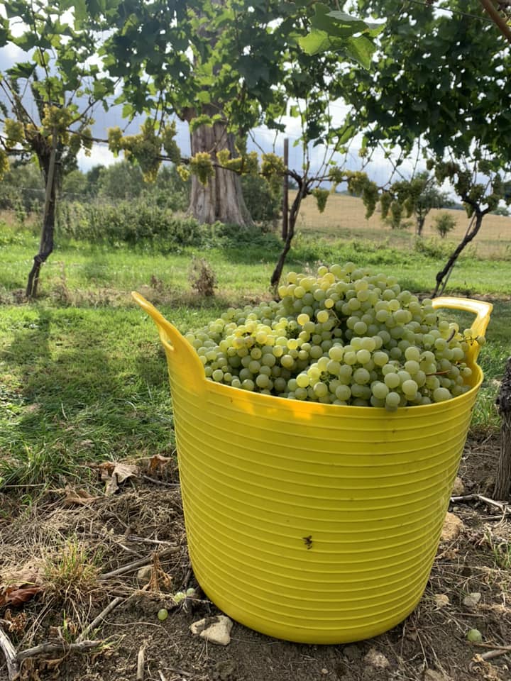 Deer Park Wines - Image 2