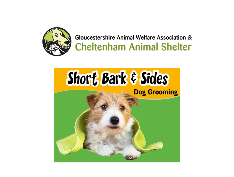 Short Bark and Sides - Main Image