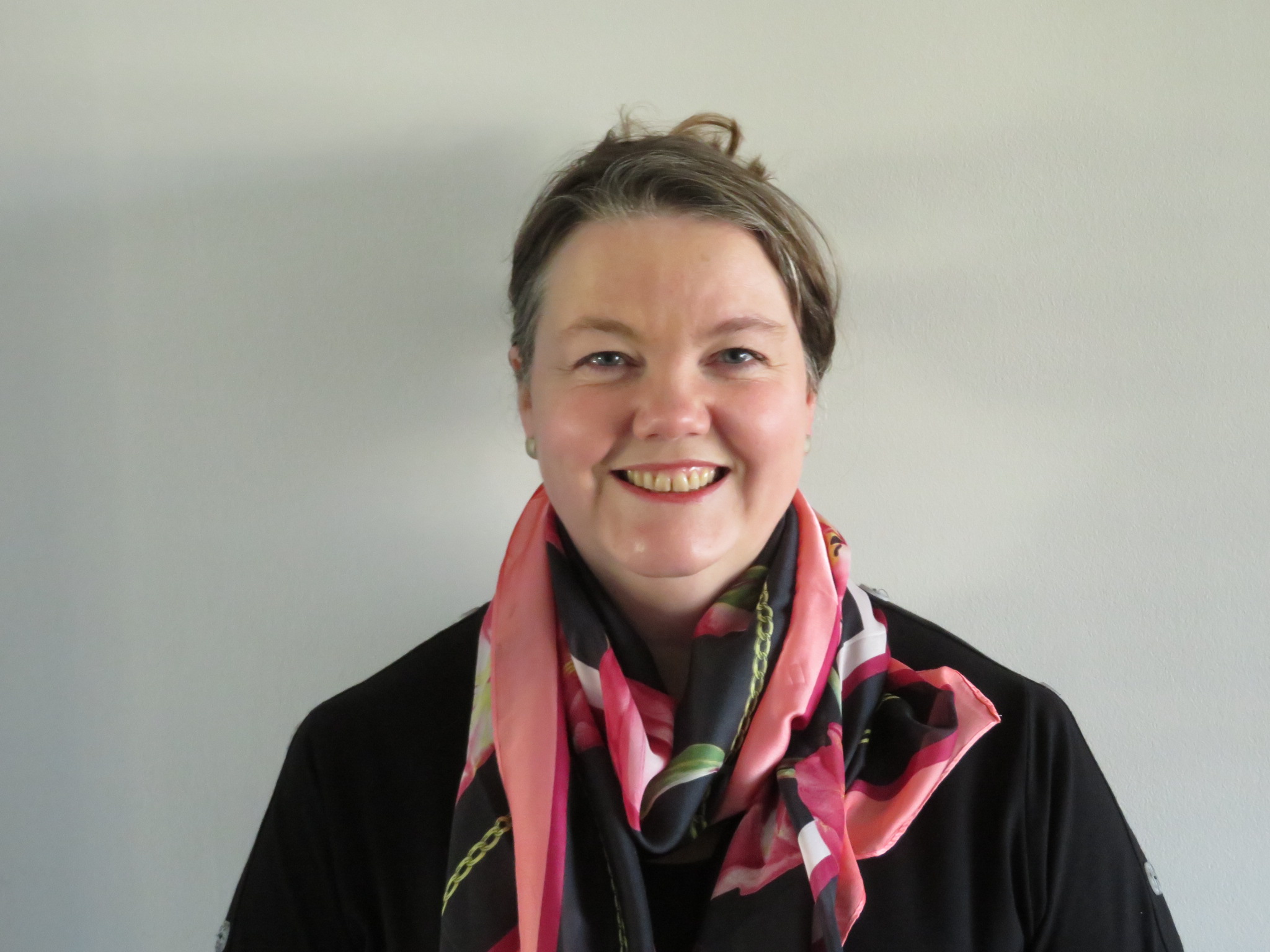 The Good Surveyor - Image 2