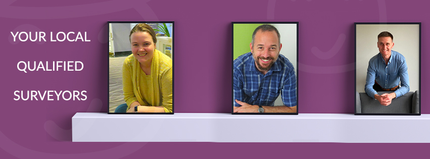 The Good Surveyor - Image 3