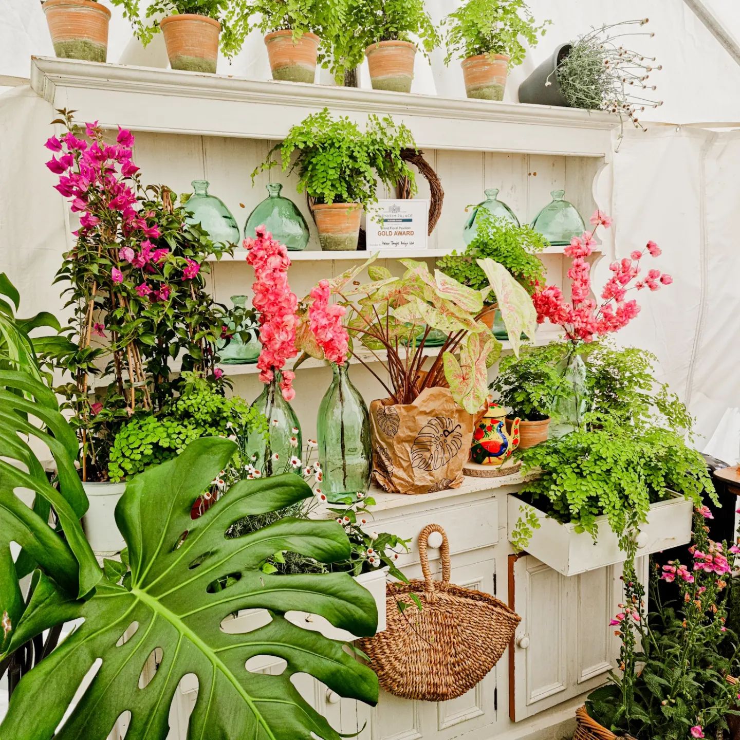 Cotswold Botanical - Image 2