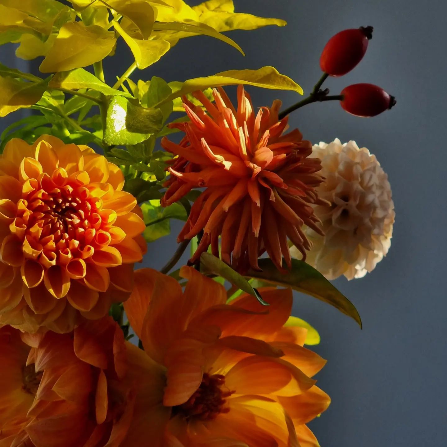 Cotswold Botanical - Image 3