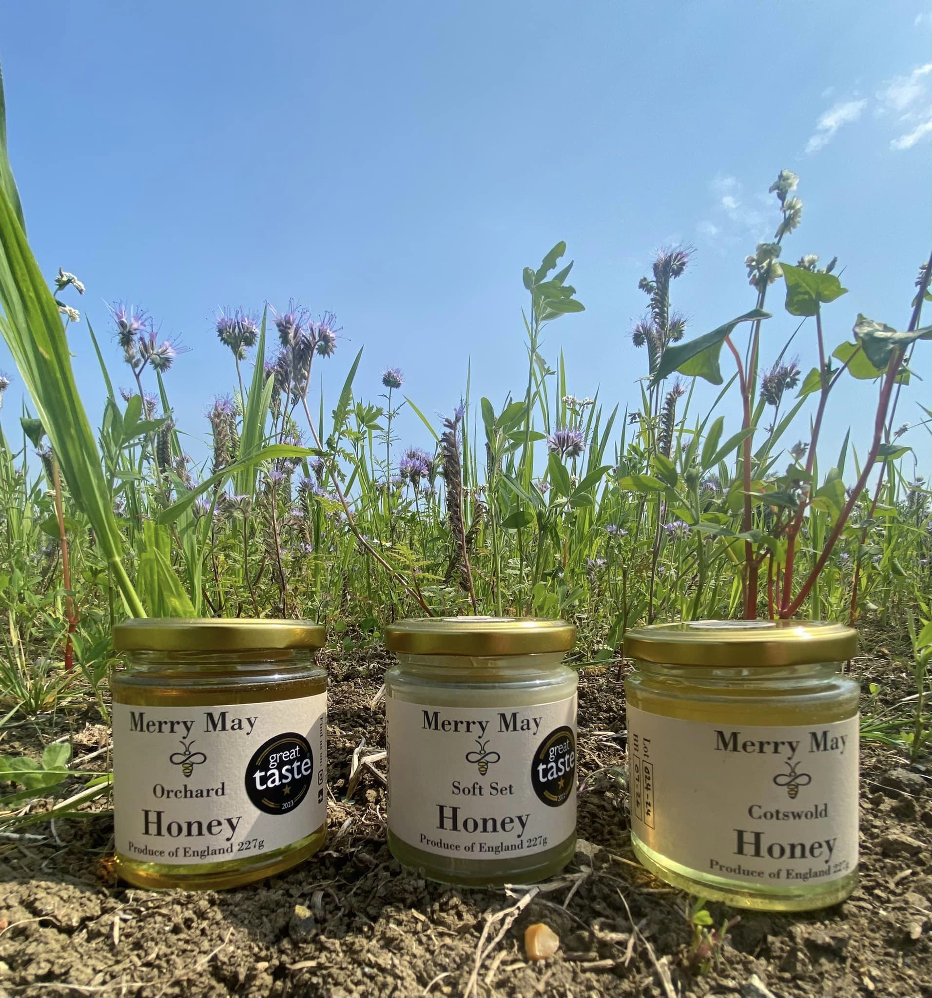 Merry May Honey - Image 2