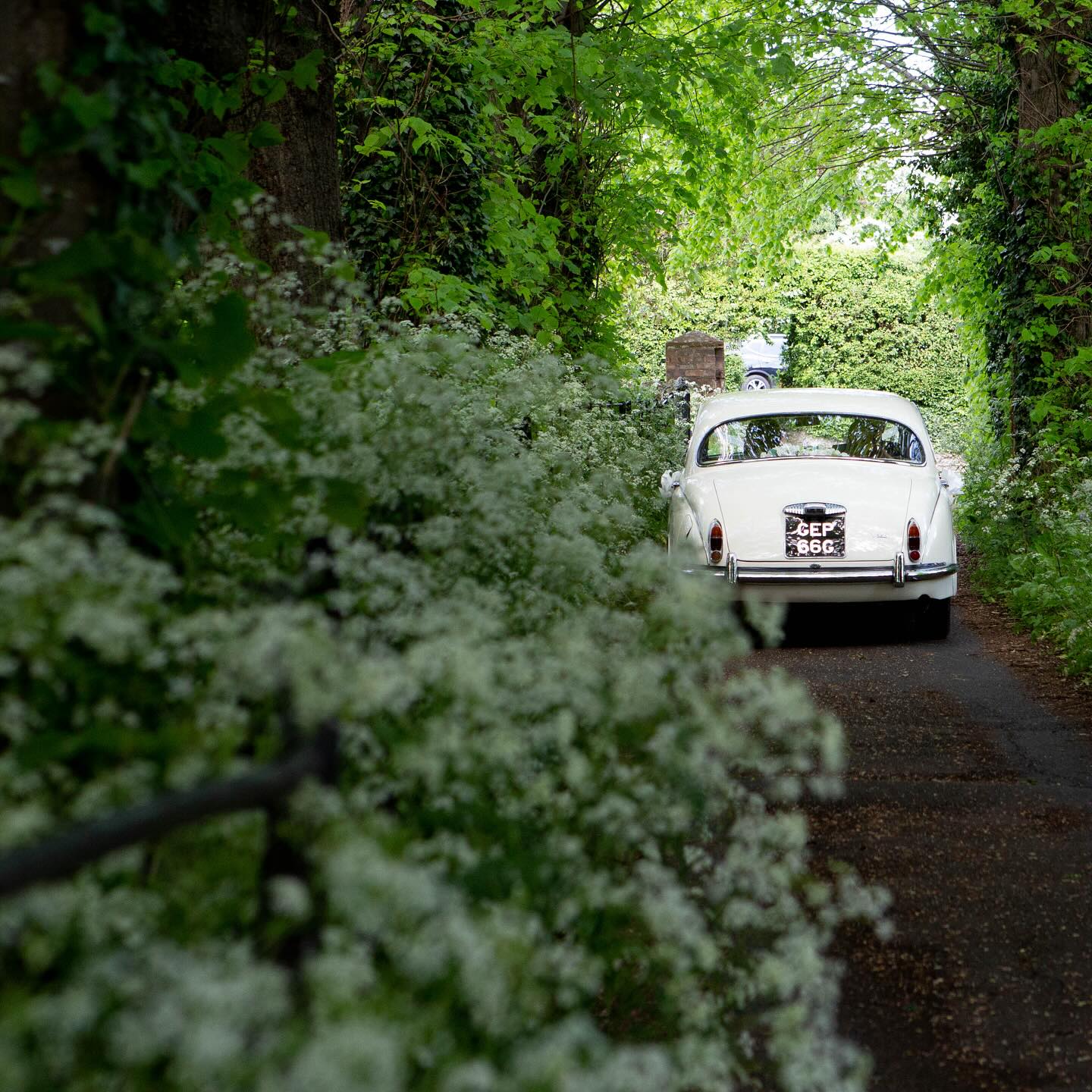 Suzi Lawrence Photography - Image 2