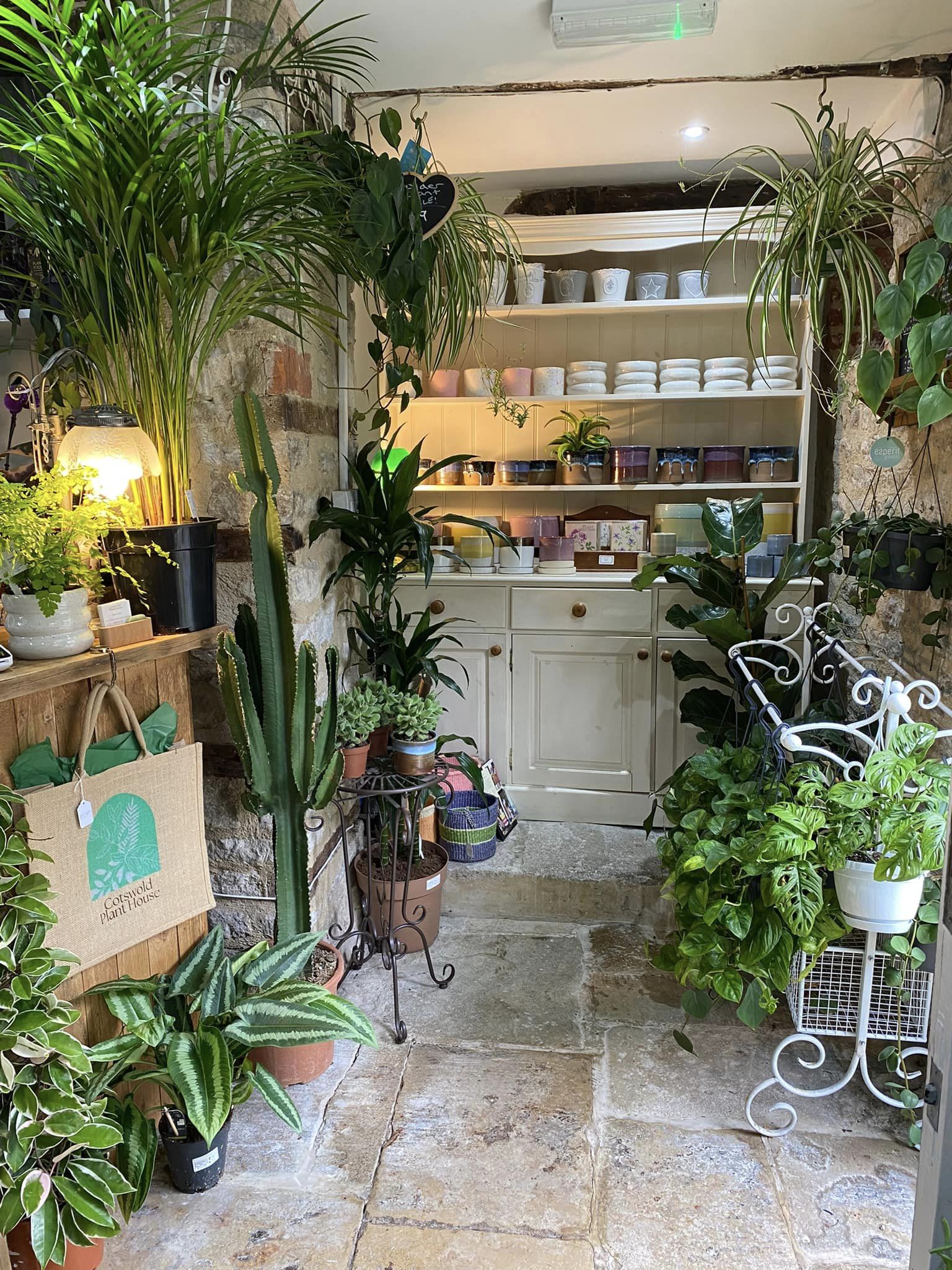 Cotswold Plant House - Image 3