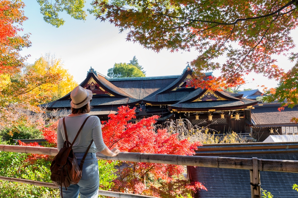 Graceful Wanderlust  - Image 2