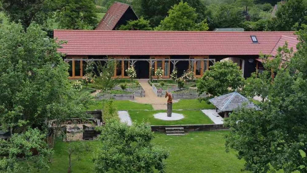 Block Clearance Therapy With Georgie - Image 3