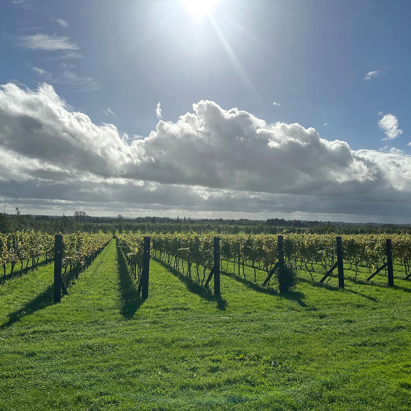 Poulton Hill - Image 2