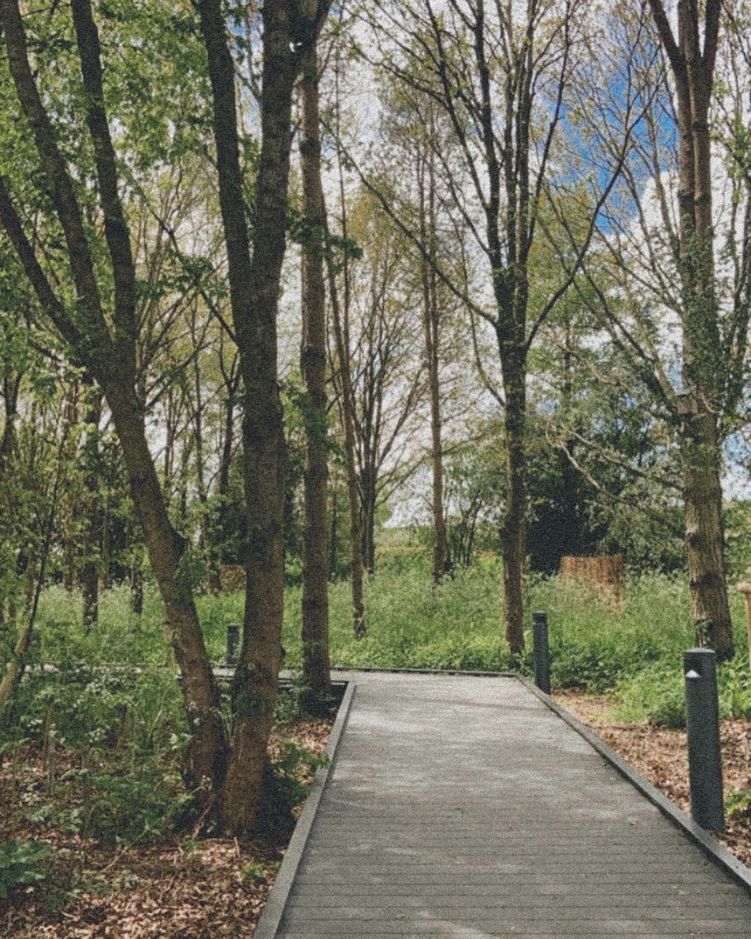 Solstice Wellbeing - Lower Brailes - Image 3