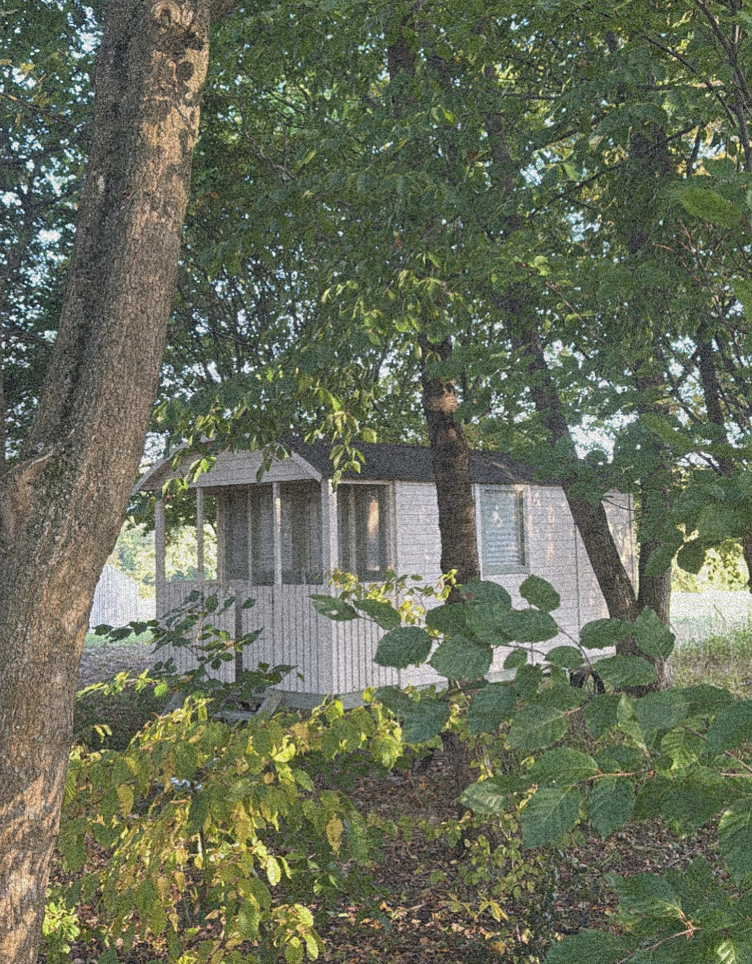 Solstice Wellbeing - Lower Brailes - Image 2