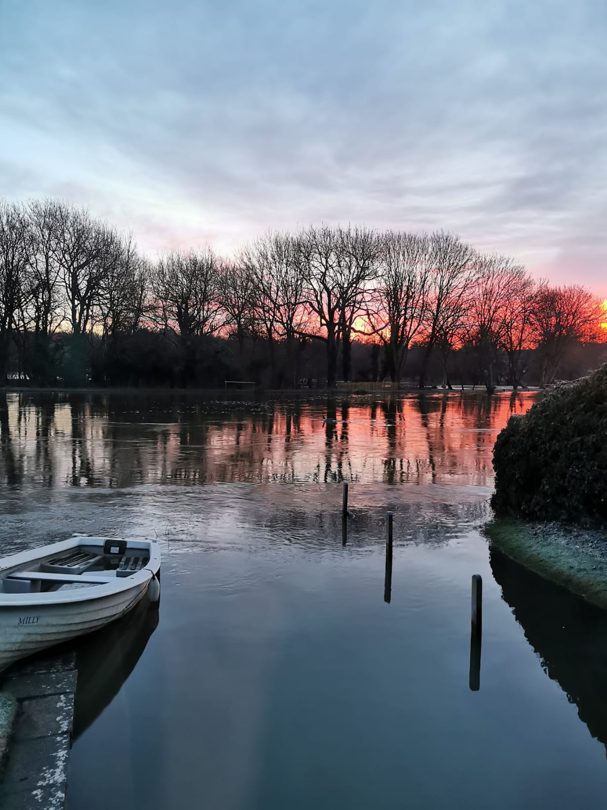 Mind Insight - Image 3