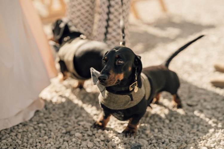 Jacks Weaver Photography - Image 2