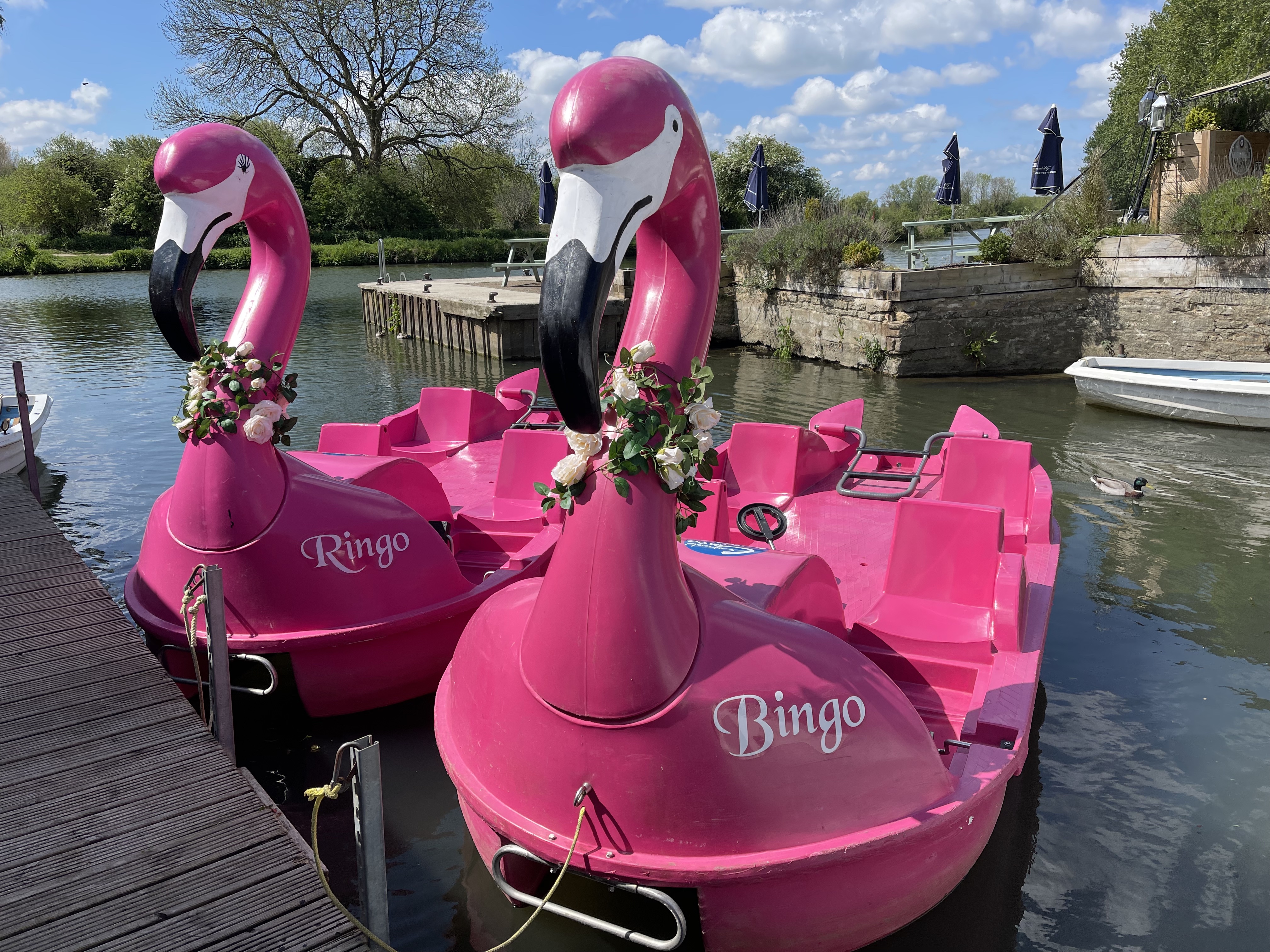 Cotswold Canoe Hire - Image 3