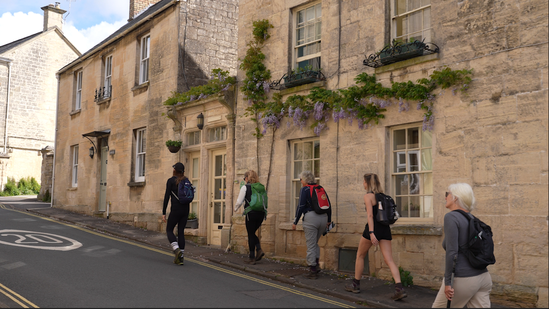 Roam & Wonder - Image 3