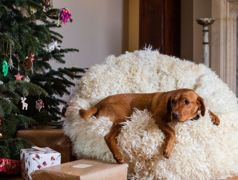 The Christmas Cotswold Fair - Image 2