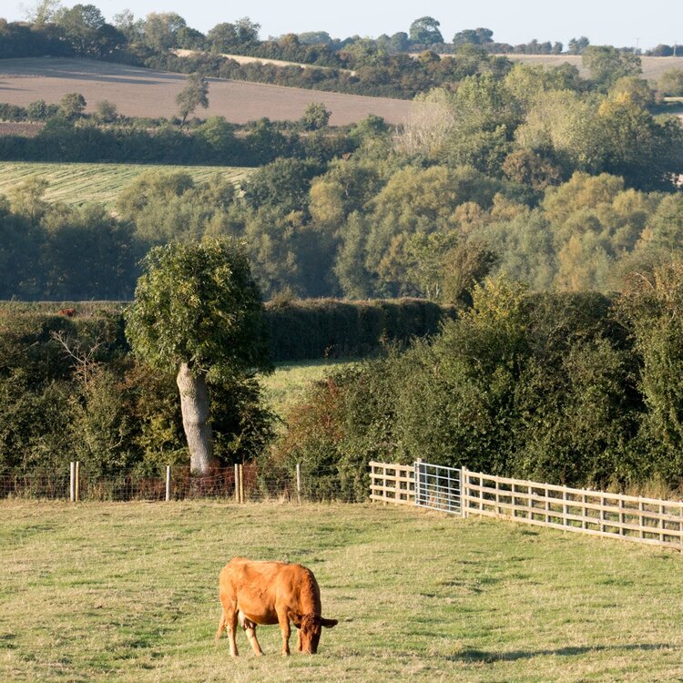 Todenham Manor Farm Shop - Image 3