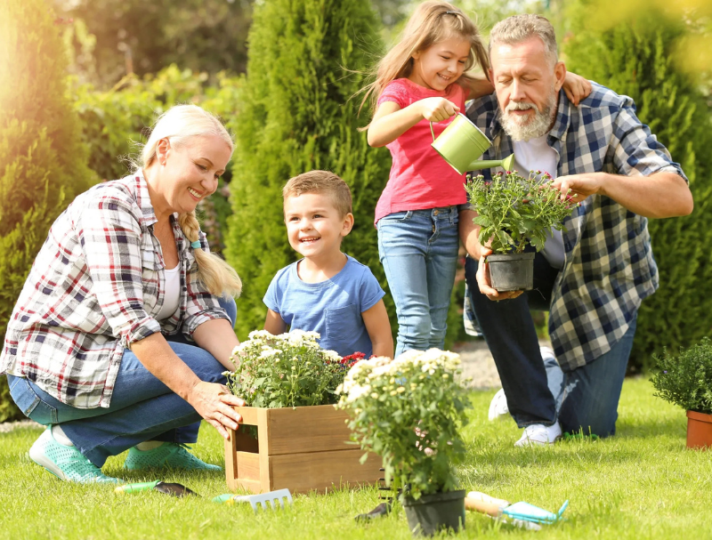 The Equity Release Partnership - Image 3