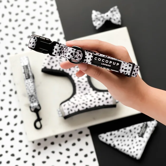 Kate and Kobe in the Cotswolds - Image 2