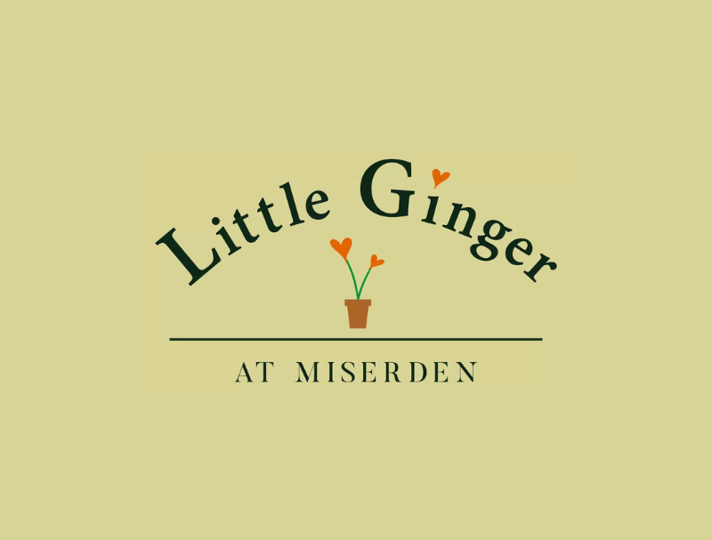 Little Ginger at Miserden