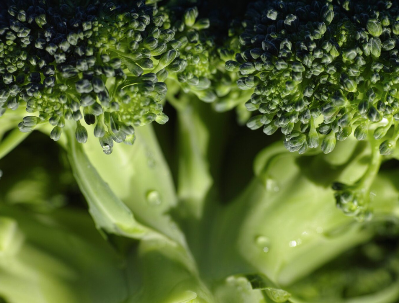 Sorrel Health - Image 3