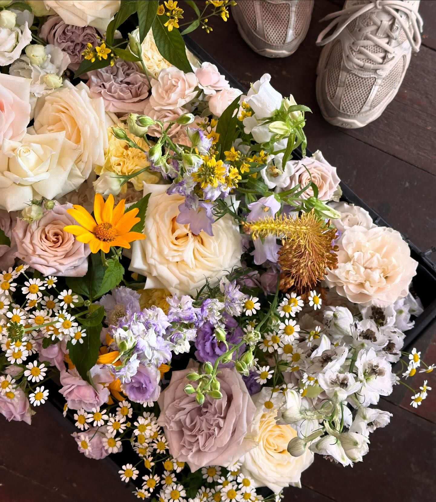 Blue & Boheme - Image 2