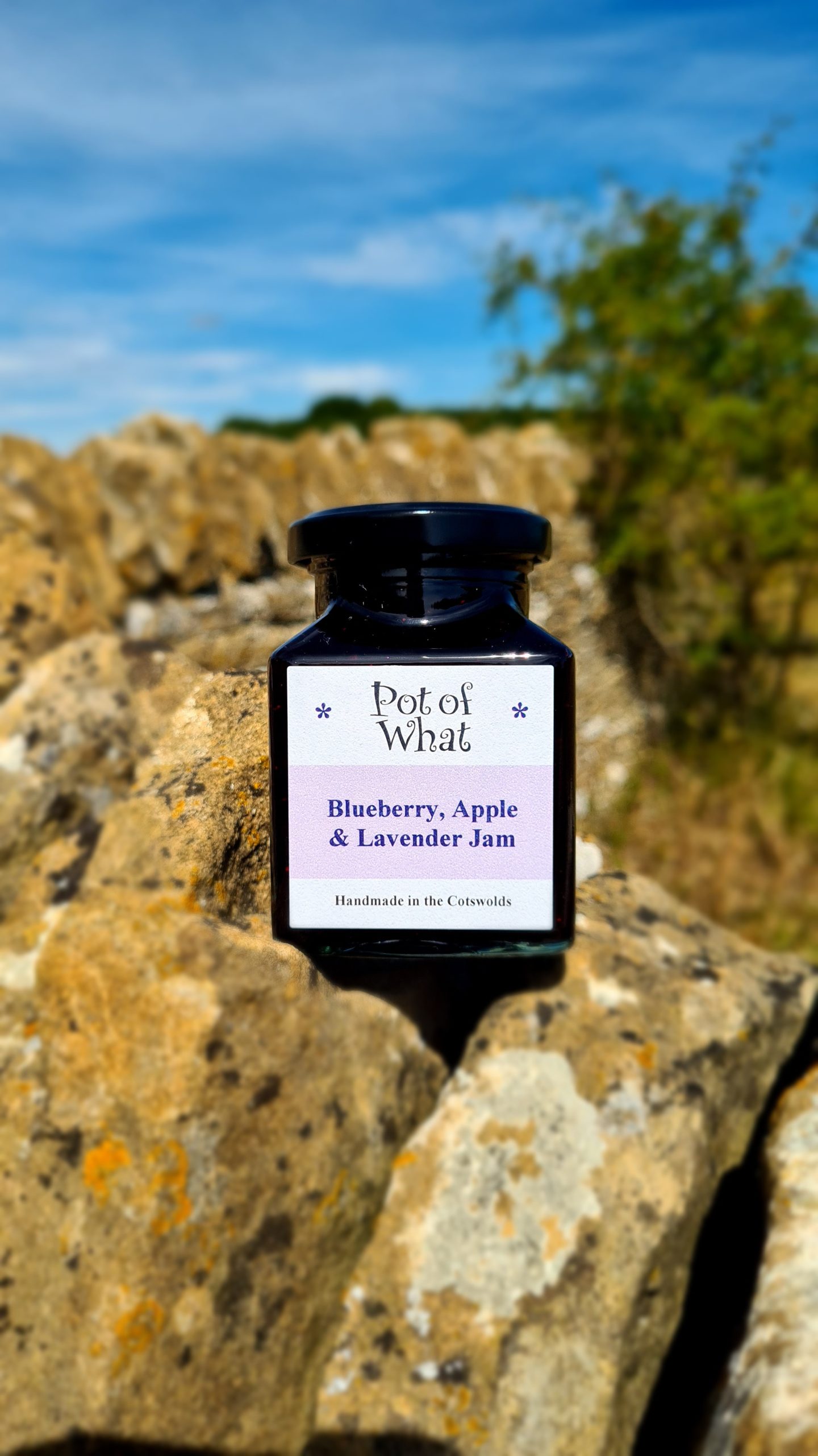 Pot of What - Image 2