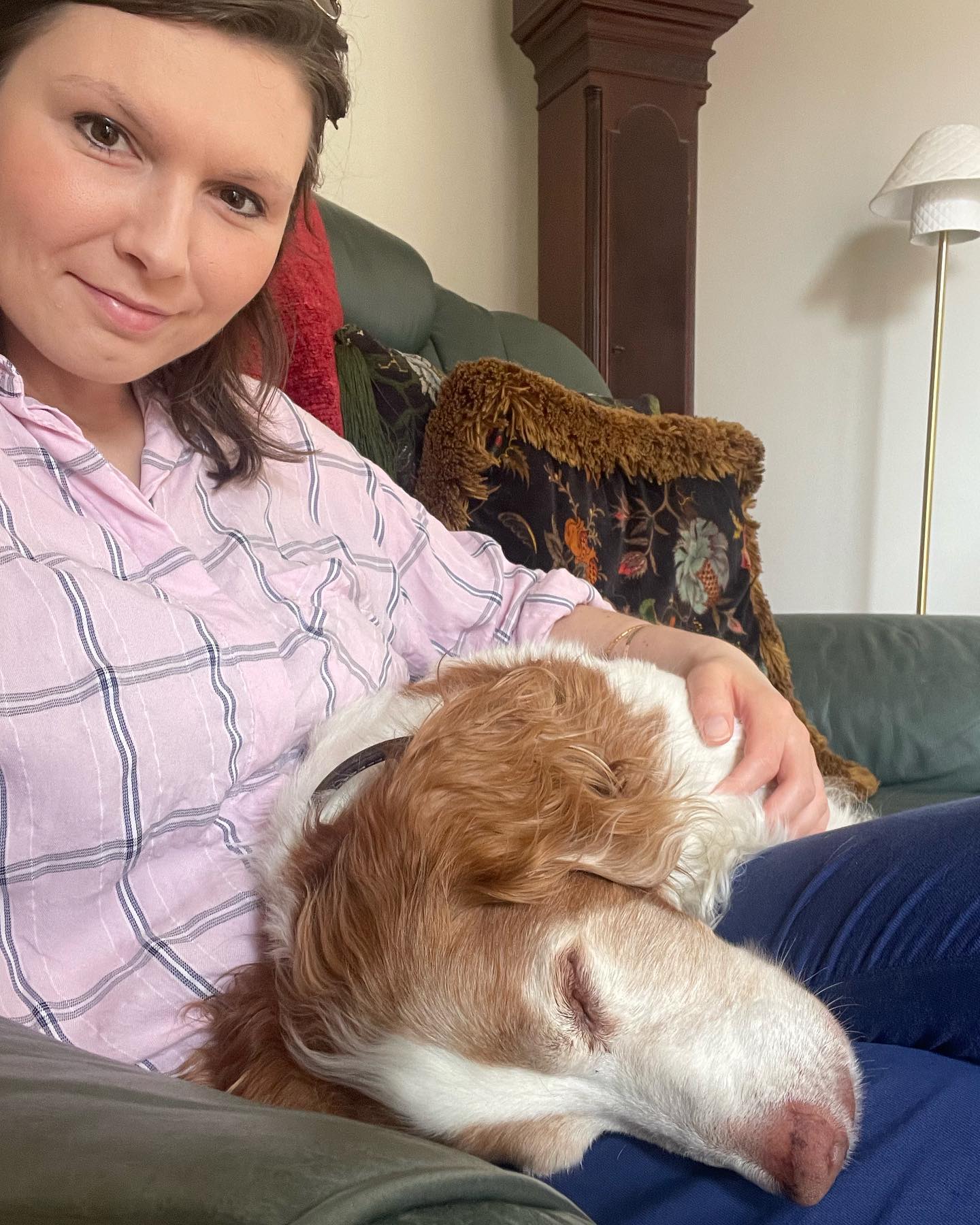 The Four-Legged Cuddle Club - Image 2