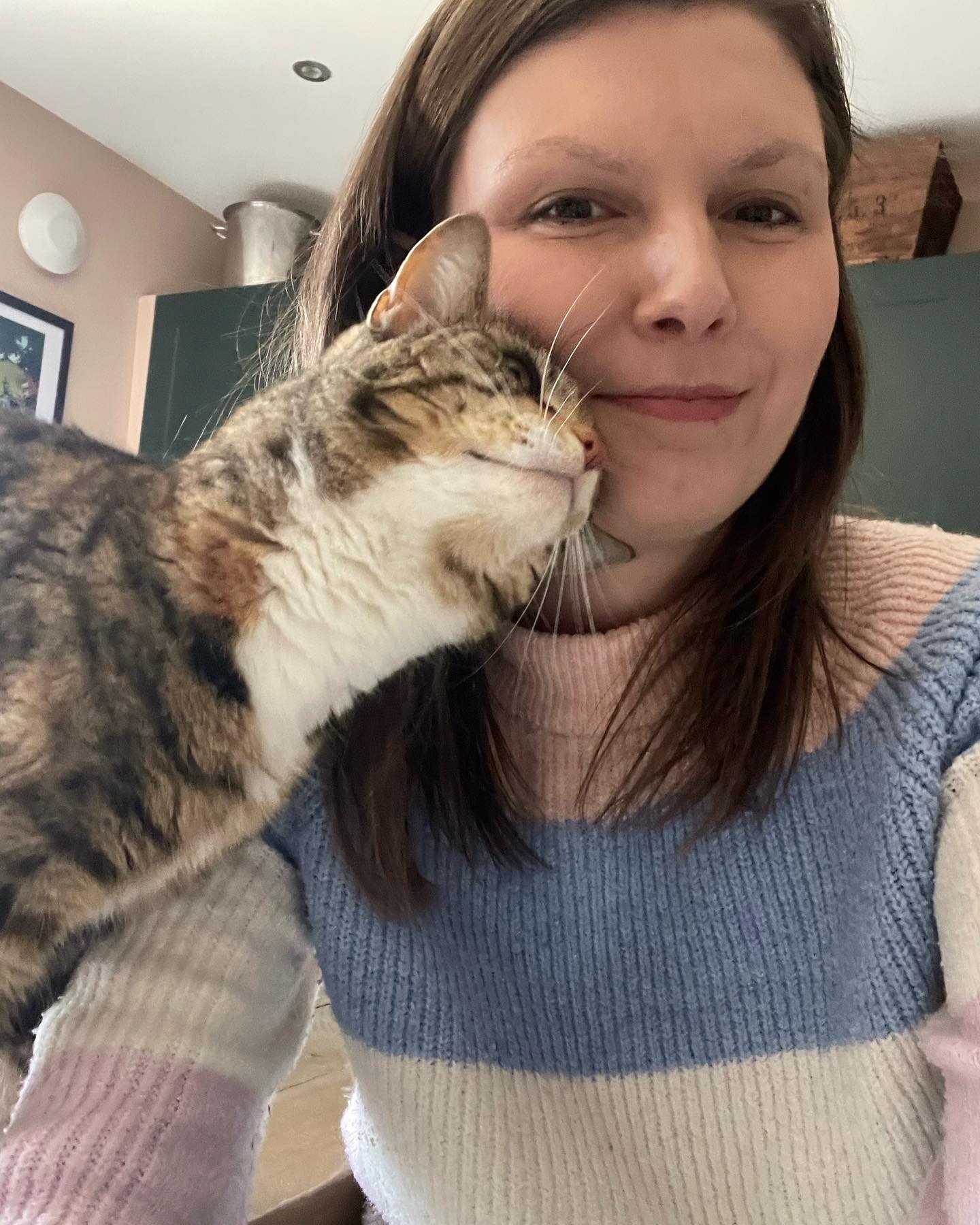 The Four-Legged Cuddle Club - Image 3