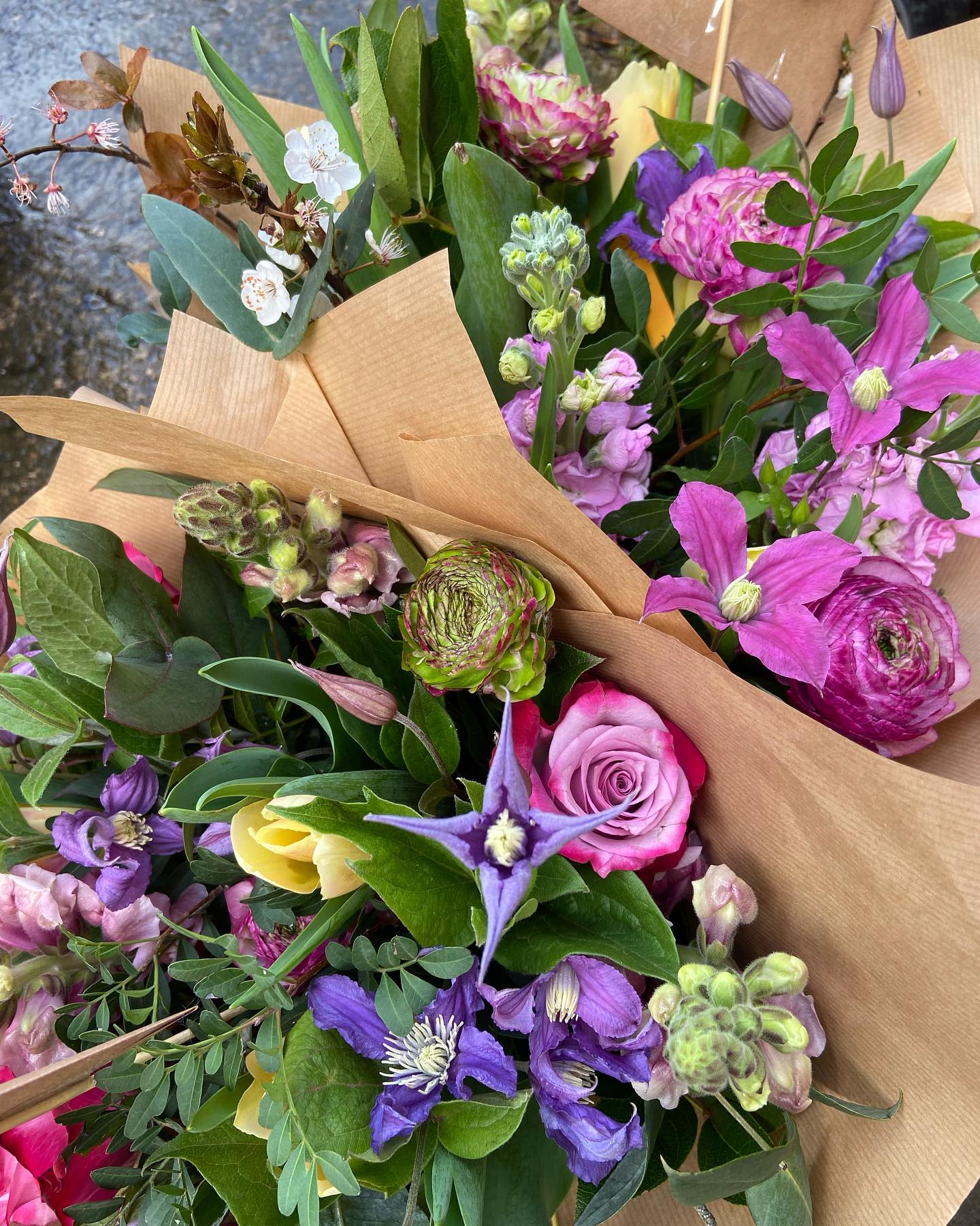 The Wild Bunch Collective - Image 3