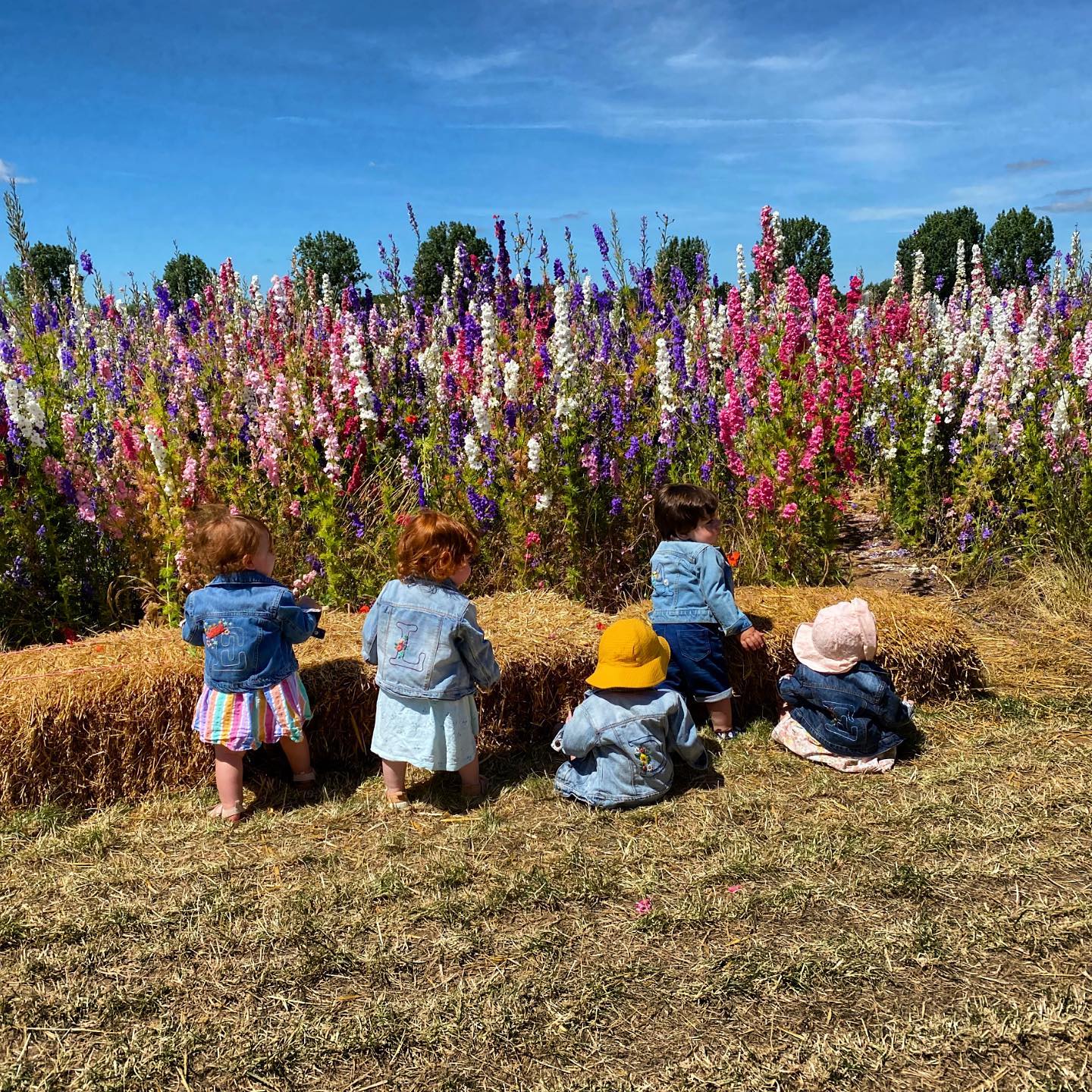 Hey Diddle Denim - Image 3