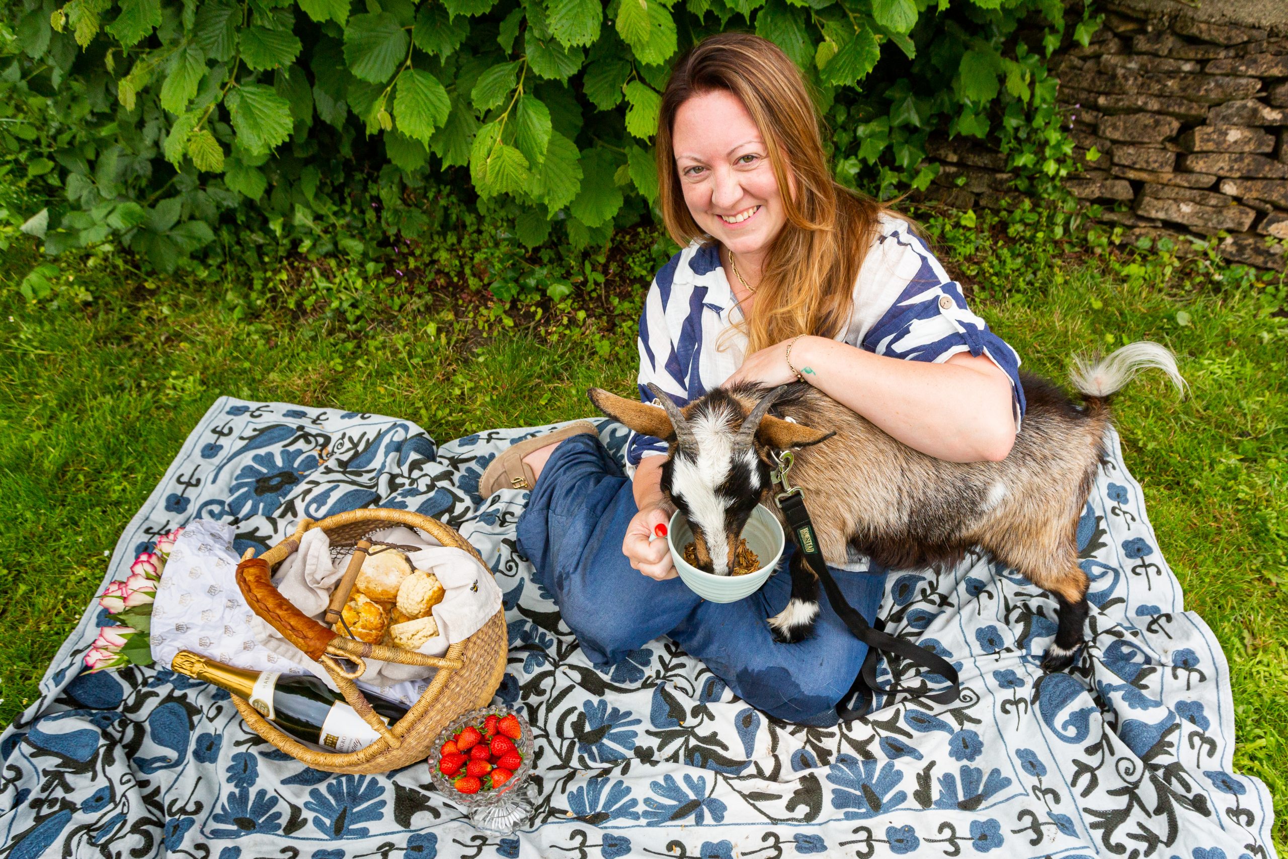 Pygmy Goat Picnics - Image 3