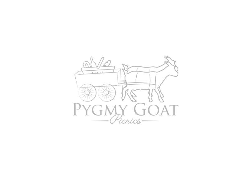 Pygmy Goat Picnics - Main Image