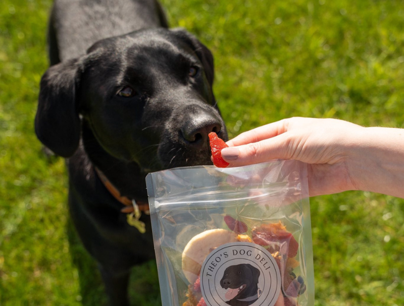 Theo's Dog Deli - Image 2