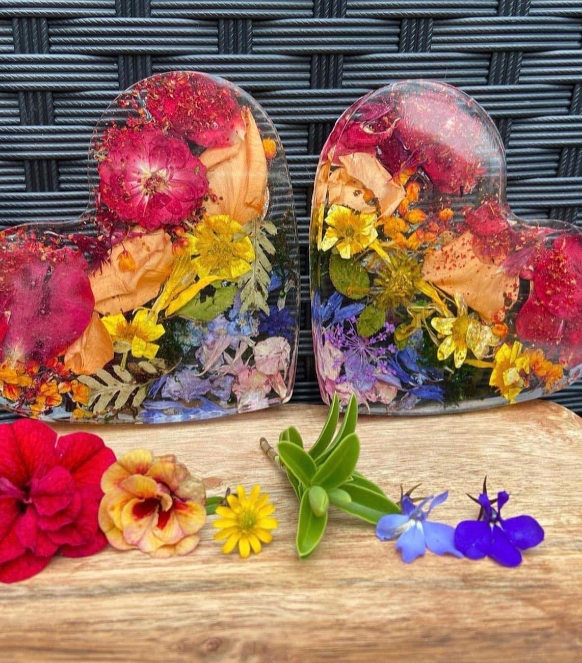 Nature's Inspiration - Image 3